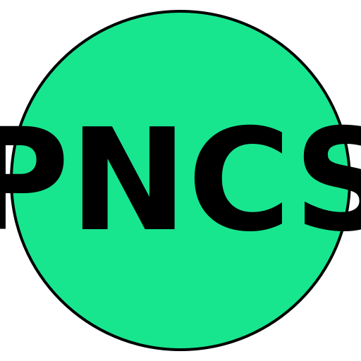 PureNav Career Solutions